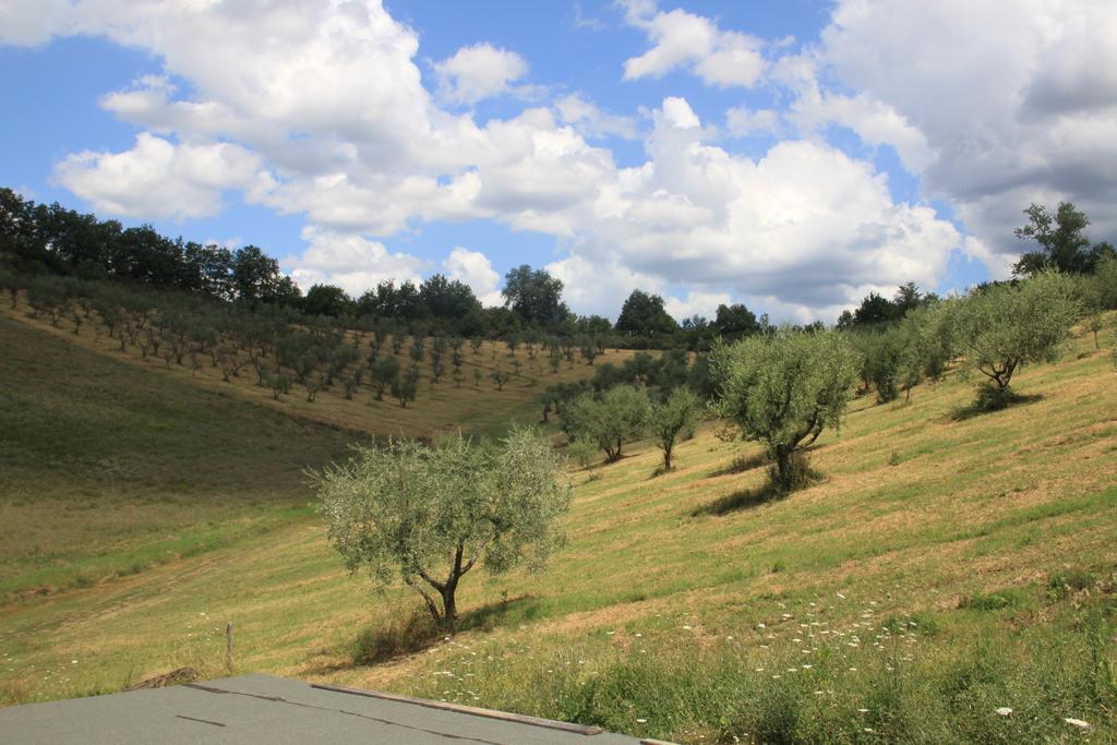 Agriturismo Le Buche Di Viesca Reggello Luaran gambar